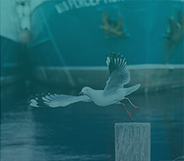 自然科学类TOP10