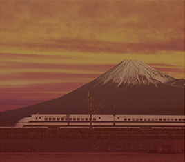 有升学指导的语言学校