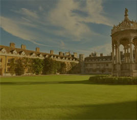 受雇主满意TOP10