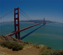 最受欢迎的TOP10