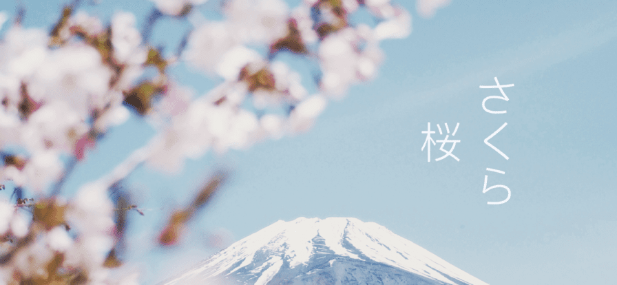 芥末上课场景