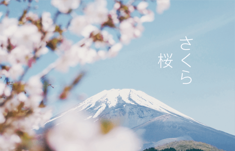 芥末上课场景